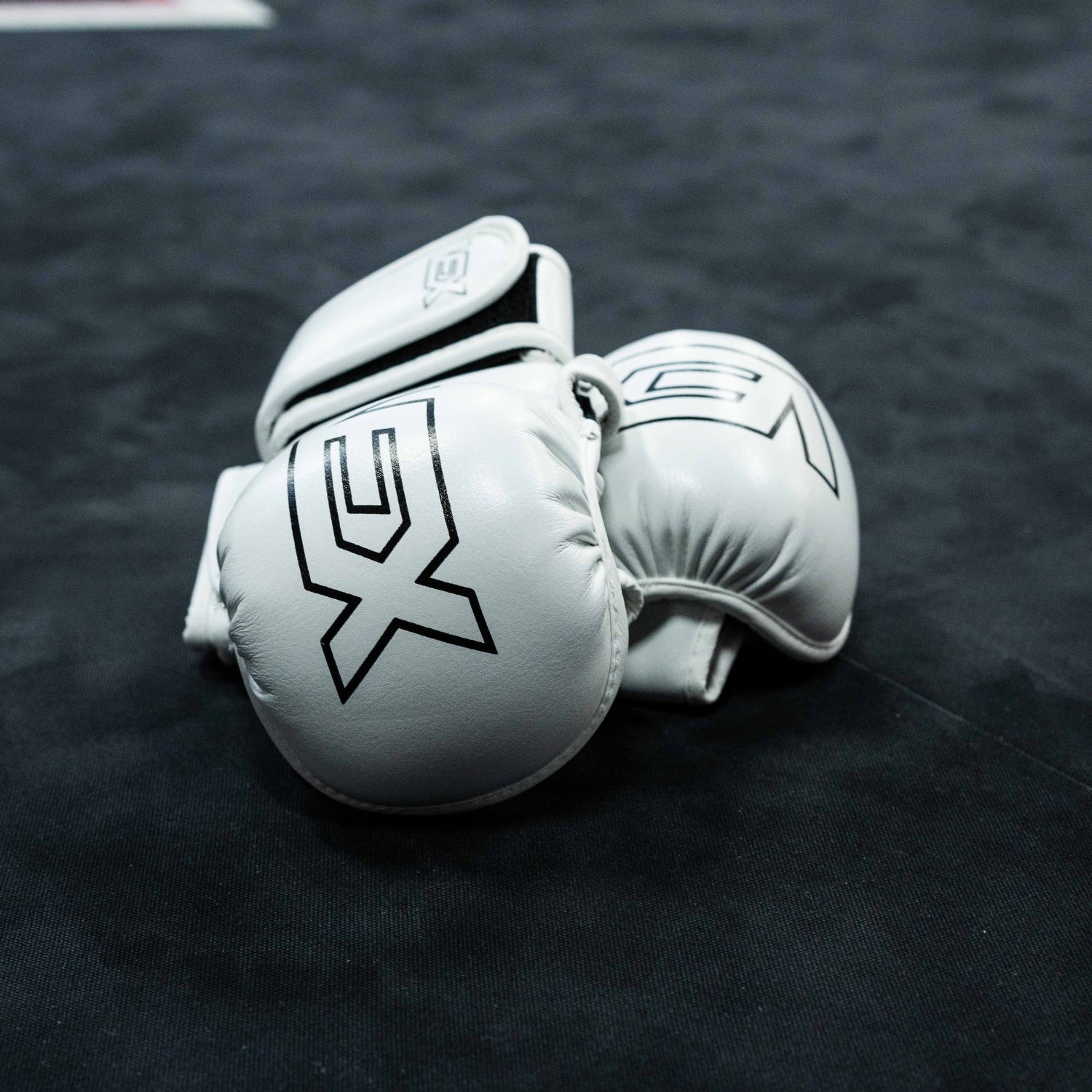 mma handschuhe weiß MMA Gloves - White